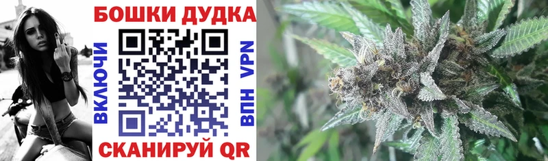Марихуана планчик  Питкяранта 